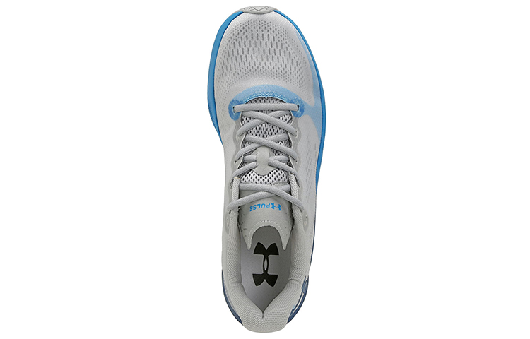 Lookbook Under Armour Charged Pulse ''Grigio-Blu'' 3024669-101