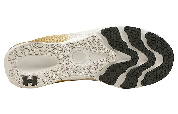 Shop Under Armour Charged Pulse Low 'Gris Oro' 3024669-001