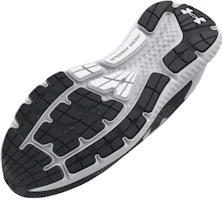 Details for Under Armour Charged Rogue 3「黑白」3026140-001