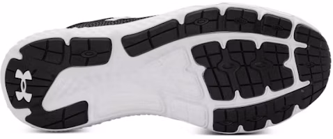 Purchase Under Armour Charged Rogue 4 ''Schwarz Weiß'' 3026998-001