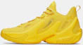 Order Kasut Bola Keranjang Under Armour Curry 13 AP 6015002-790