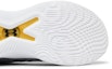Purchase Under Armour Curry Brand Curry Flow 10 'Bapa ke Anak' 3026274-101