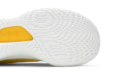 Under Armour Curry Flow 8 'Flow Like Water'