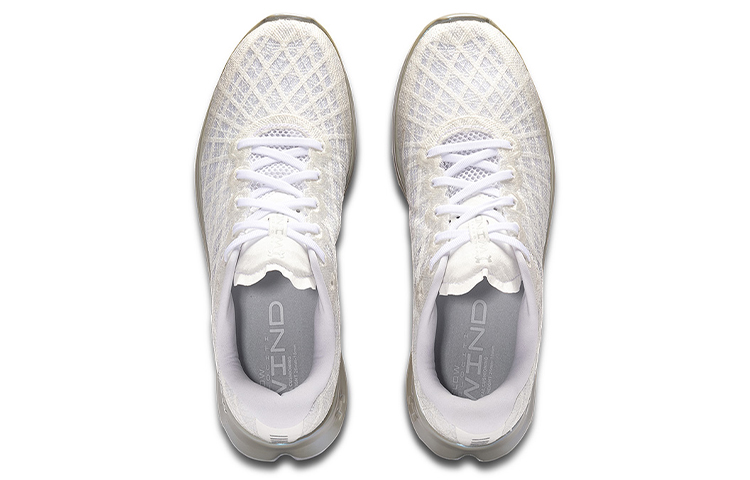 Shop Under Armour FLOW Velociti Wind CN 'Blanco Plata' 3025204-101