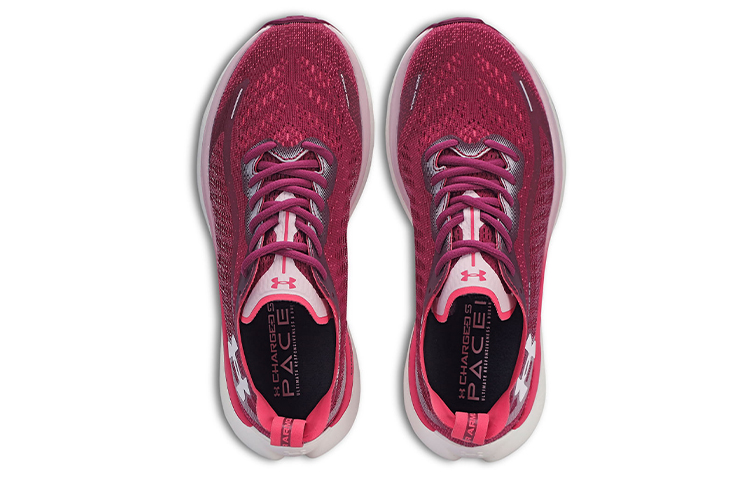 Shop Under Armour Generale ''Rosso Vino'' 3026563-600