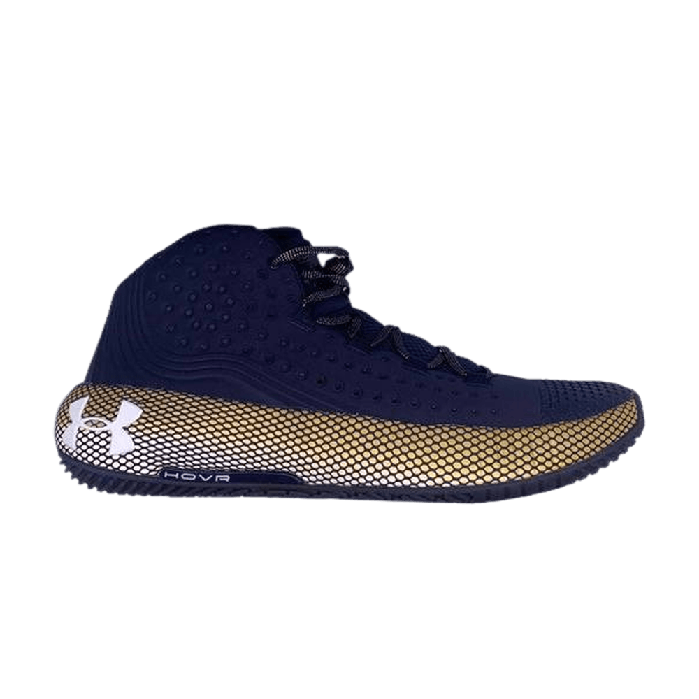 Under Armour HOVR Havoc 2 'Georgetown' 3022657-402