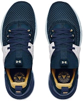 Under Armour Project Rock 4 'Laut Dalam' 3025860-401 Shop Under Armour Project Rock 4 'Laut Dalam' 3025860-401