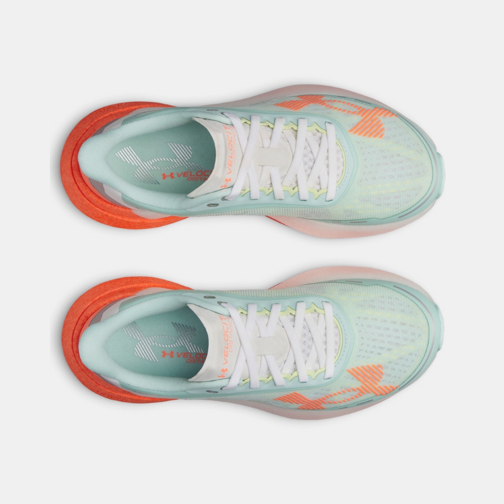 Purchase Under Armour Velociti Distance Running Shoes 6006031-703