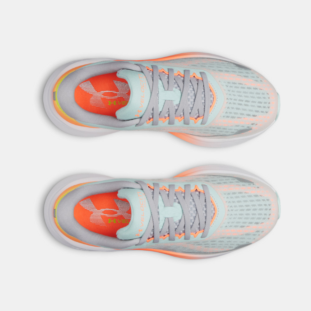 Purchase Under Armour Velociti Pace Zapatillas de Running. 6009108-703