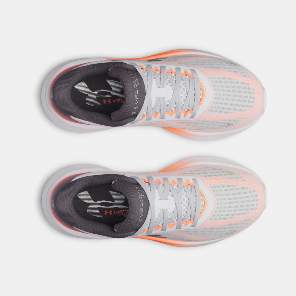 Purchase Under Armour Velociti Pace Zapatillas de Running. 6009108-025