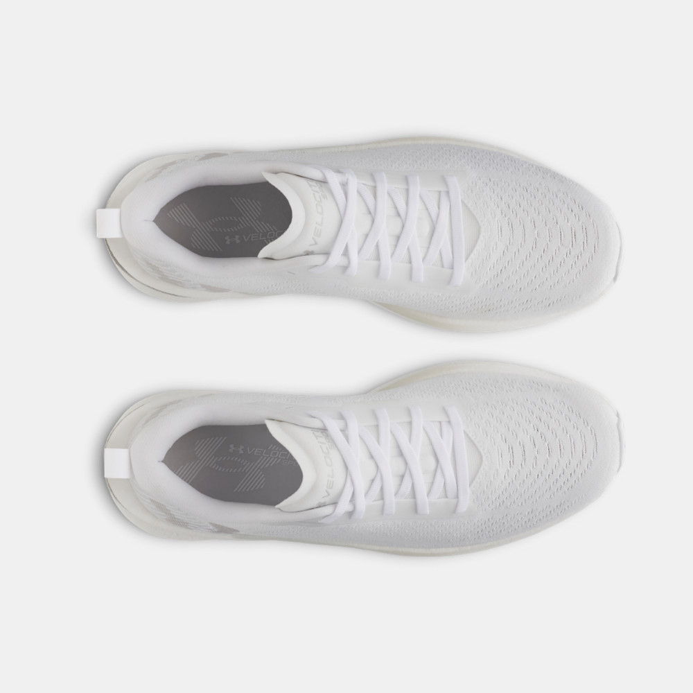 Purchase Under Armour Velociti SPD  Running Shoes 6000007-103