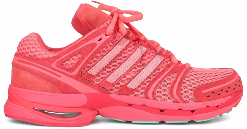 un-heardof-x-adidas-adistar-control-5-piggy-runner-2-0-steve-o-kj-8363