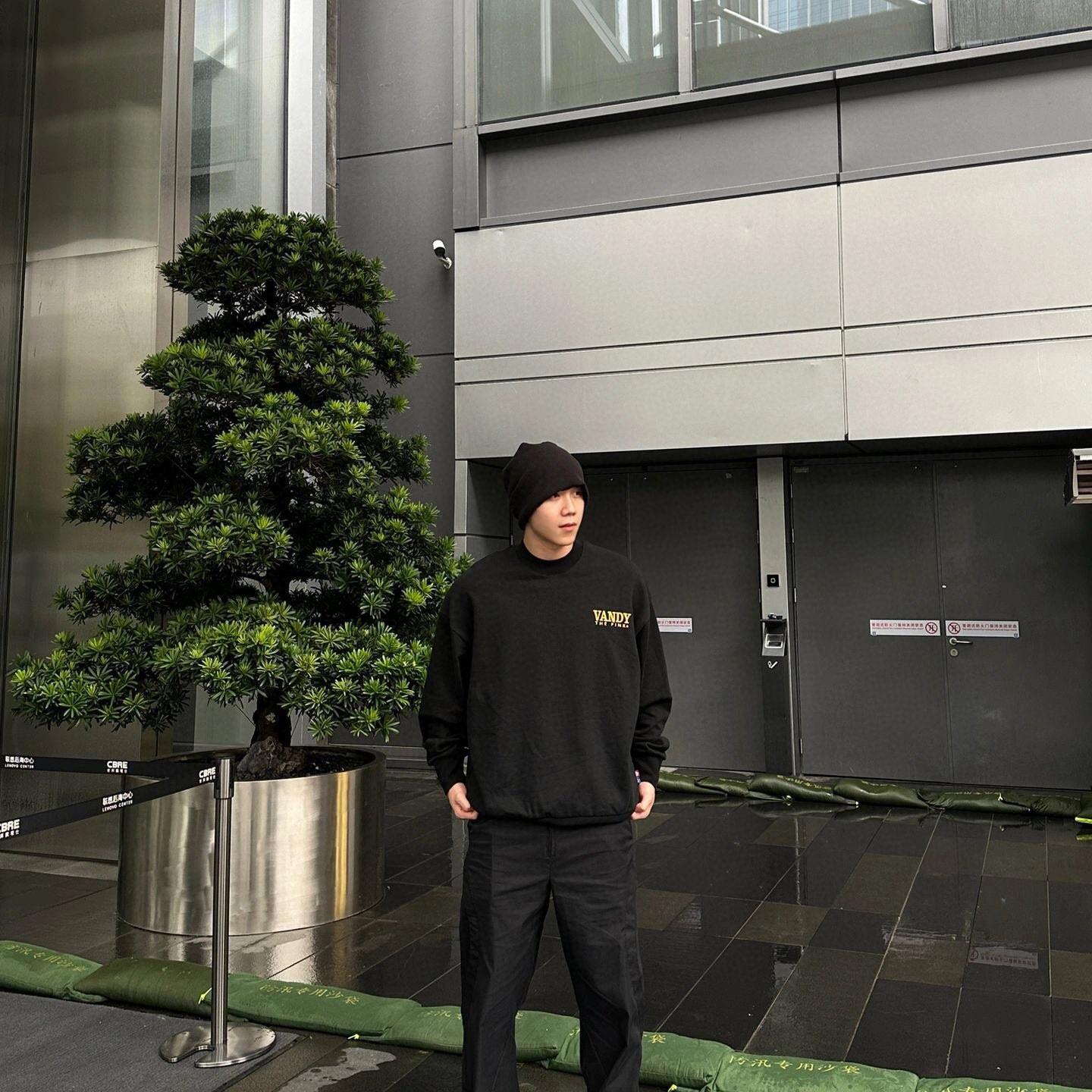 Purchase Vandy The Pink Sweatshirt Hitam Unisex Lengan Panjang Minimalis Tanaman Hias. VTP111