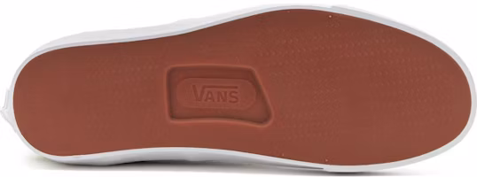 Purchase Vans Acer Ni SP ''Leopardo Nero Multicolore'' VN0A4UWYBML