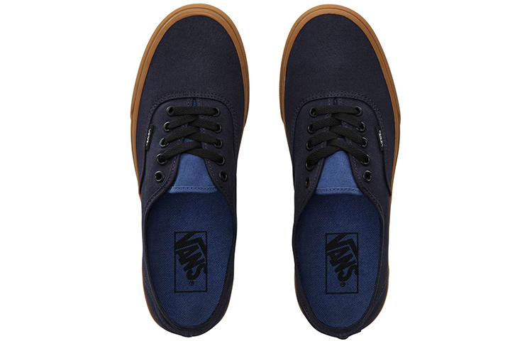 Shop Vans Authentic 'Night Sky Gum' VN0A2Z5IV4R