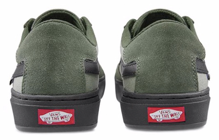 Lookbook Vans Berle Pro Lage Retro Skate Schoenen Unisex Groen Colorblock Casual VN0A3WKXKCZ