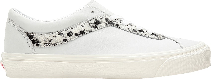 Tiny cheetah online bold ni