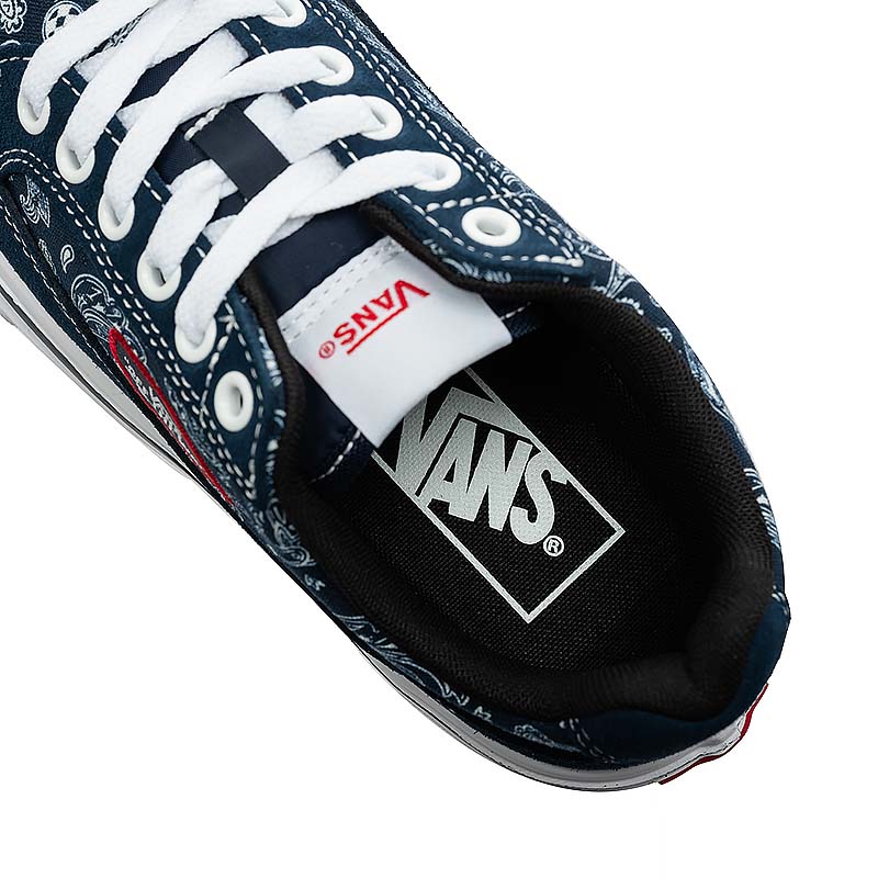 Details for Vans FINN Sneakers Schoenen V251133001