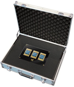 遊戯王OCG デュエルモンスターズ25thアニバーサリー 海馬セット
Order 遊戯王OCG デュエルモンスターズ25thアニバーサリー 海馬セット