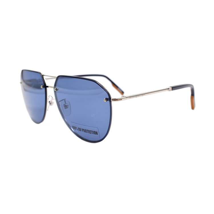 Order Gafas de Sol Aviador Zegna Glory Serie Zeiss Hombres Plata. EZ0179-D 16X
