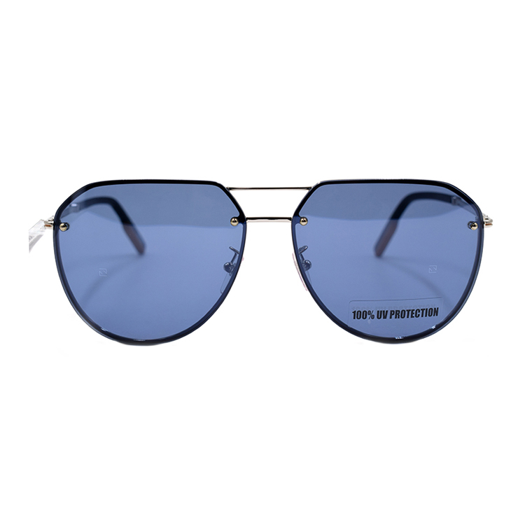 Lookbook Gafas de Sol Aviador Zegna Glory Serie Zeiss Hombres Plata. EZ0179-D 16X